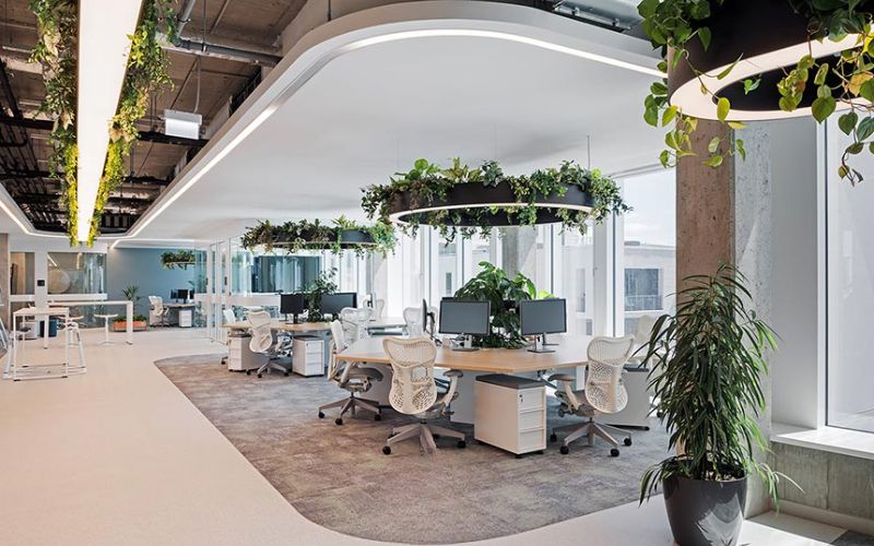 Thiết kế văn phòng quy mô 1000m2