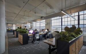 Báo Giá Thiết Kế Thi Công Nội Thất Văn Phòng Trọn Gói