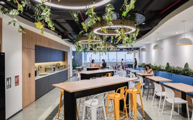 Trần văn phòng giúp cách âm và lưu thông không khí.