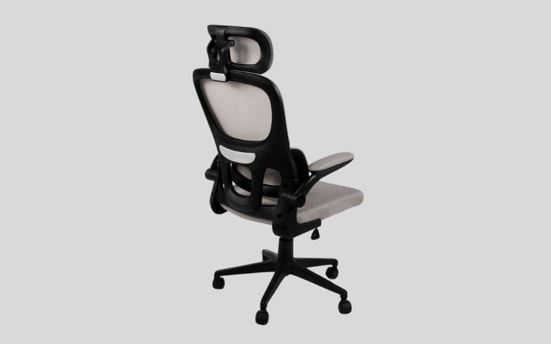 Mẫu ghế văn phòng công thái học Vitra Ergo Vision X301