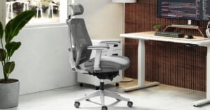 Ghế công thái học