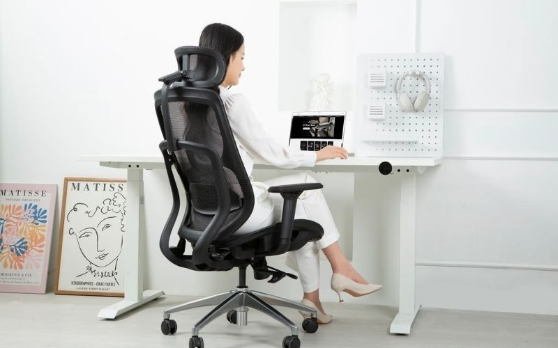 Ghế công thái học hiện nay