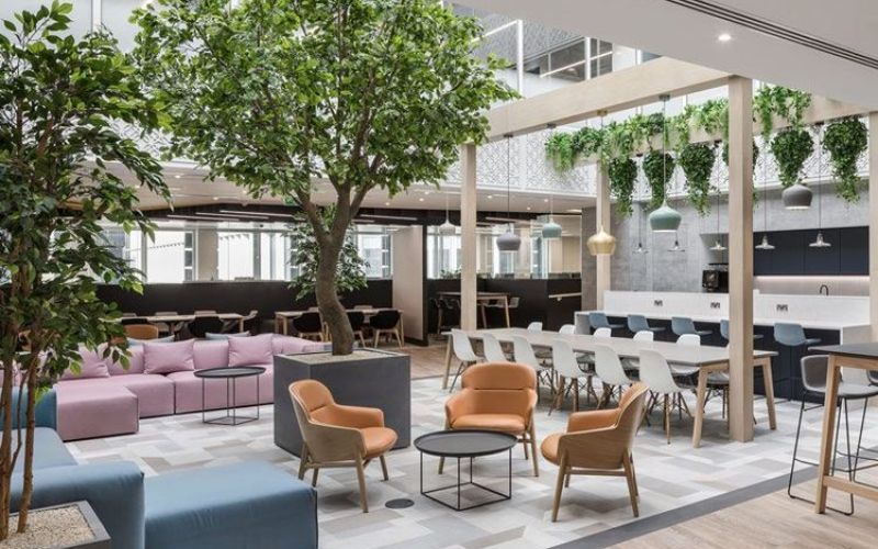 Mẫu thiết kế văn phòng hạng A