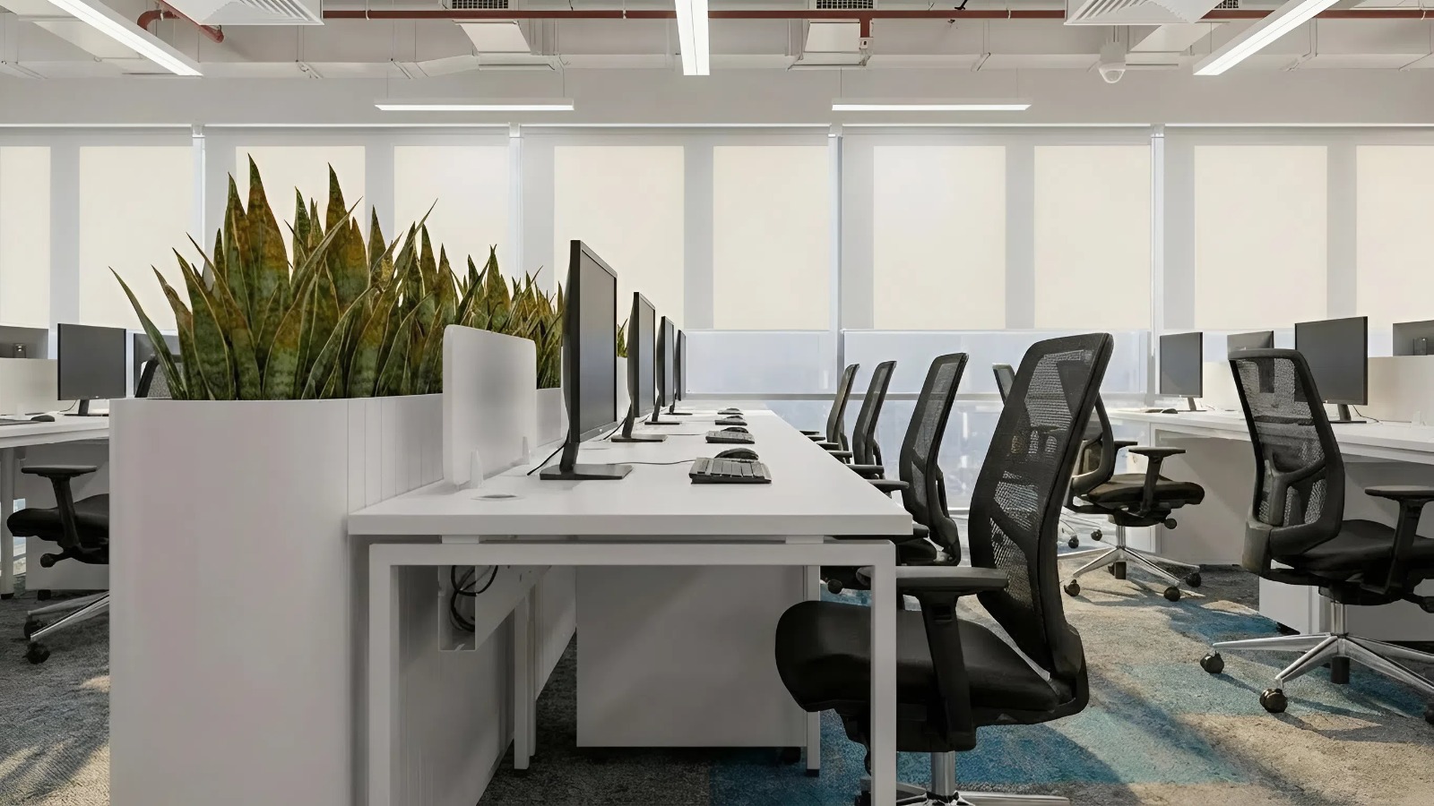 Văn phòng Zoho HCMC thiết kế thi công bởi Inter Office