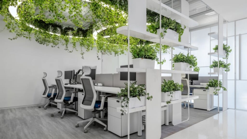 Green Office
