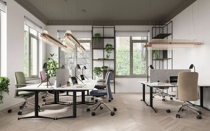 Doanh nghiệp startup, freelancer và doanh nghiệp nhỏ