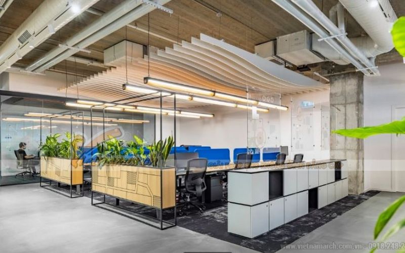 Vietnamarch với kinh nghiệm lâu năm 