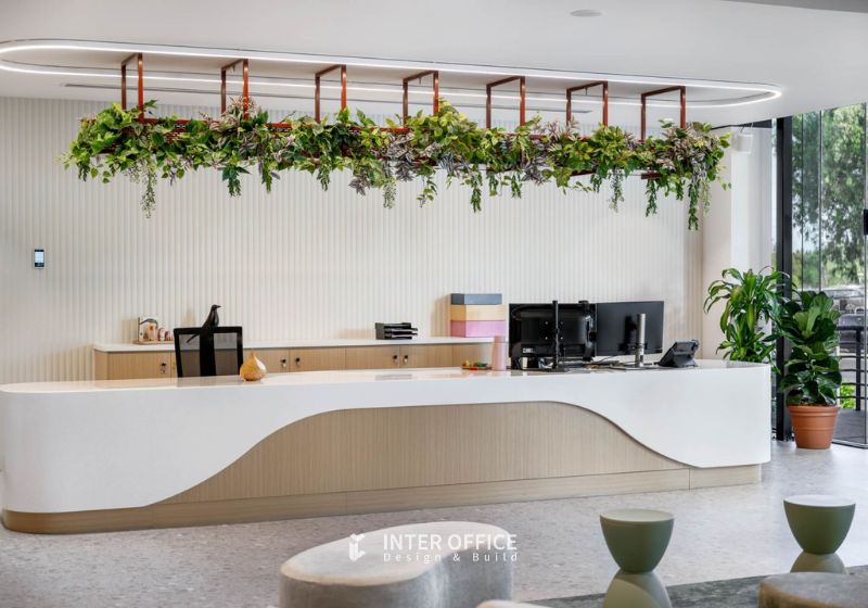 Quá trình phát triển của Biophilic