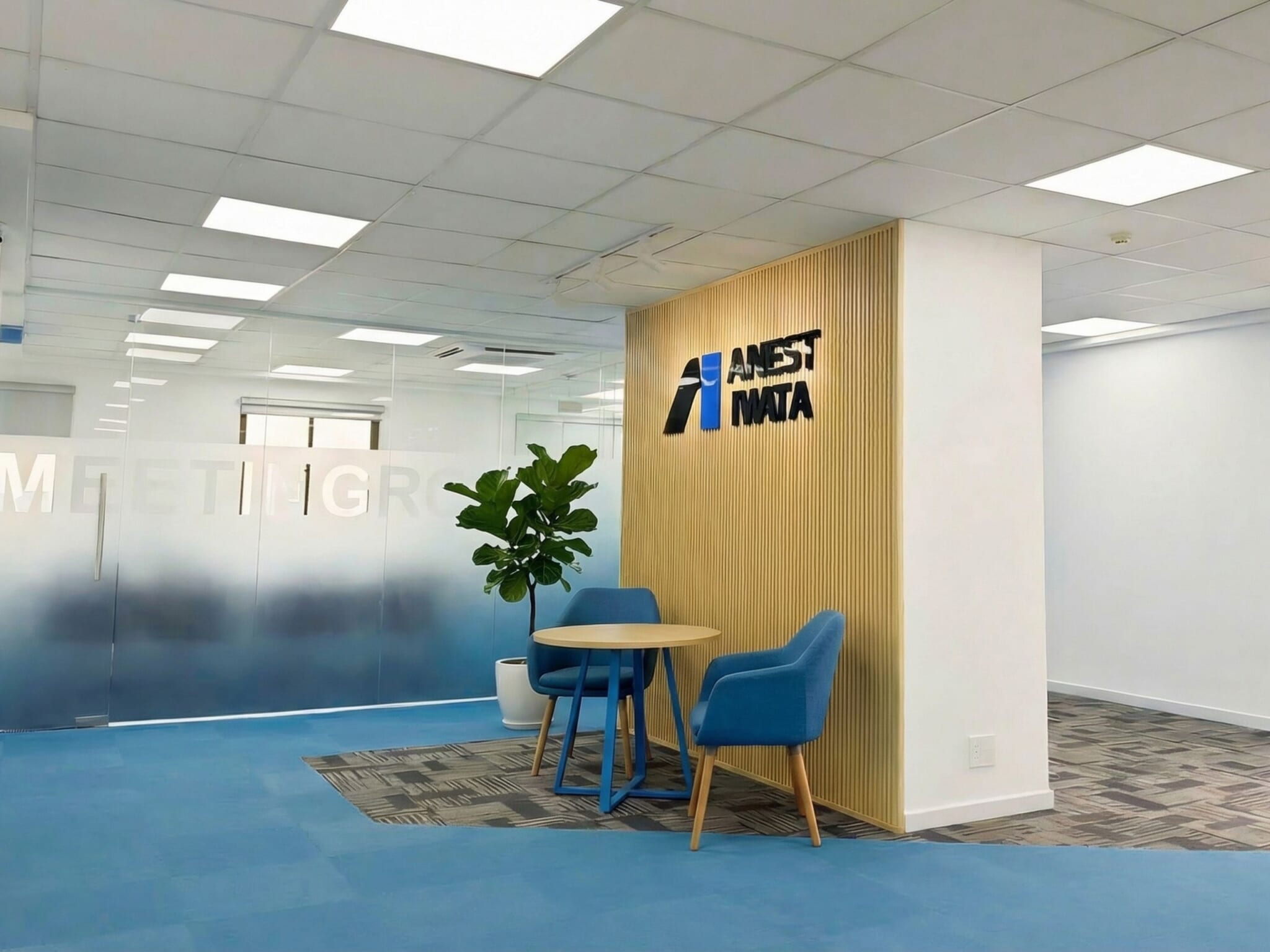 Anest Iwata Feedback