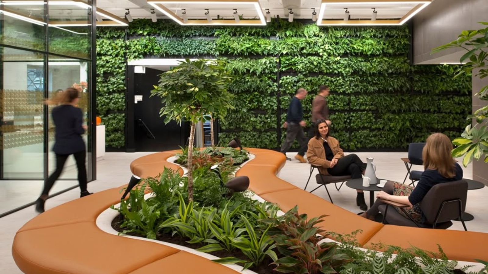 Văn phòng thiết kế xu hướng Biophilic